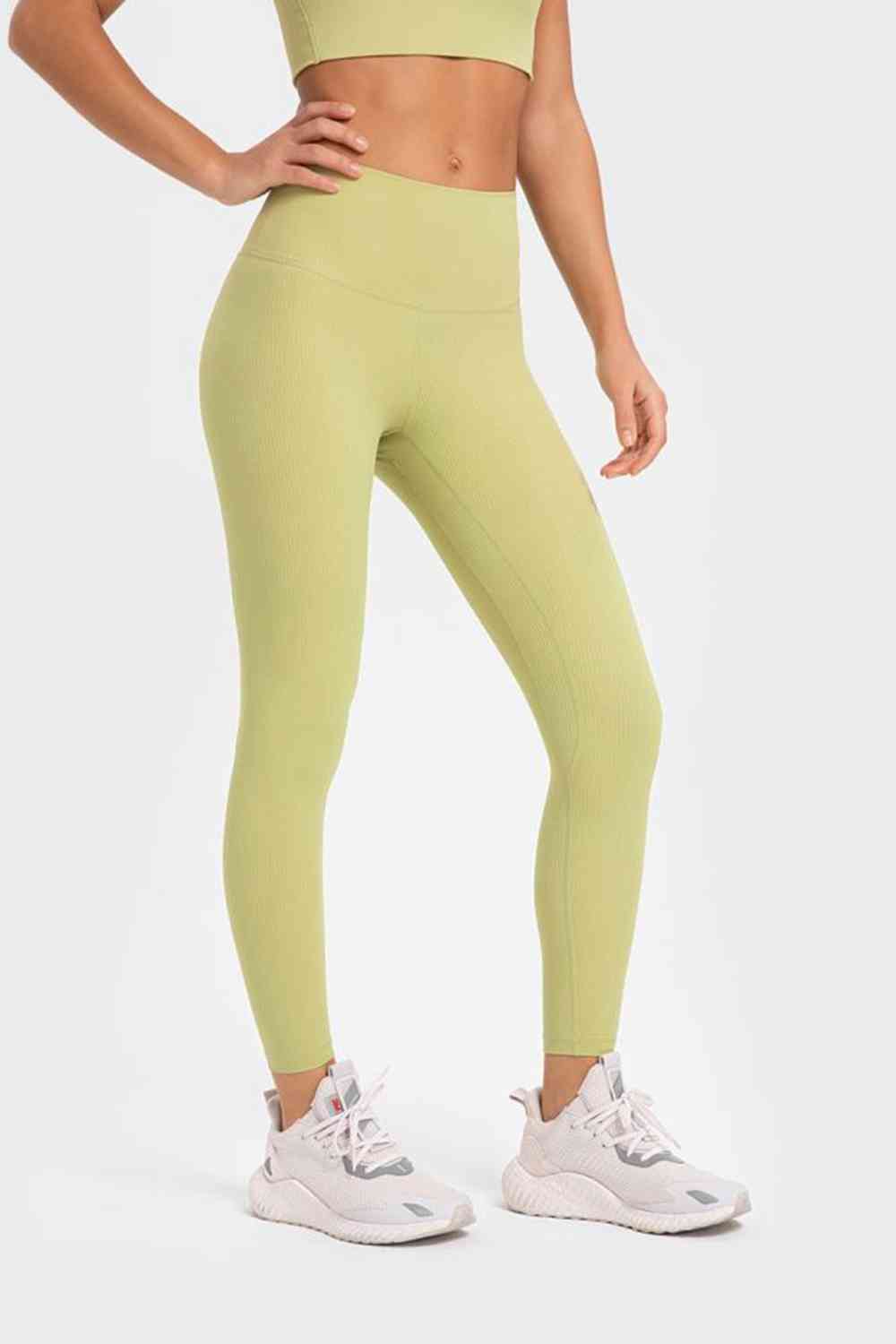 Millennia Highly Stretchy Wide Waistband Yoga Leggings - FitFemme.Shop