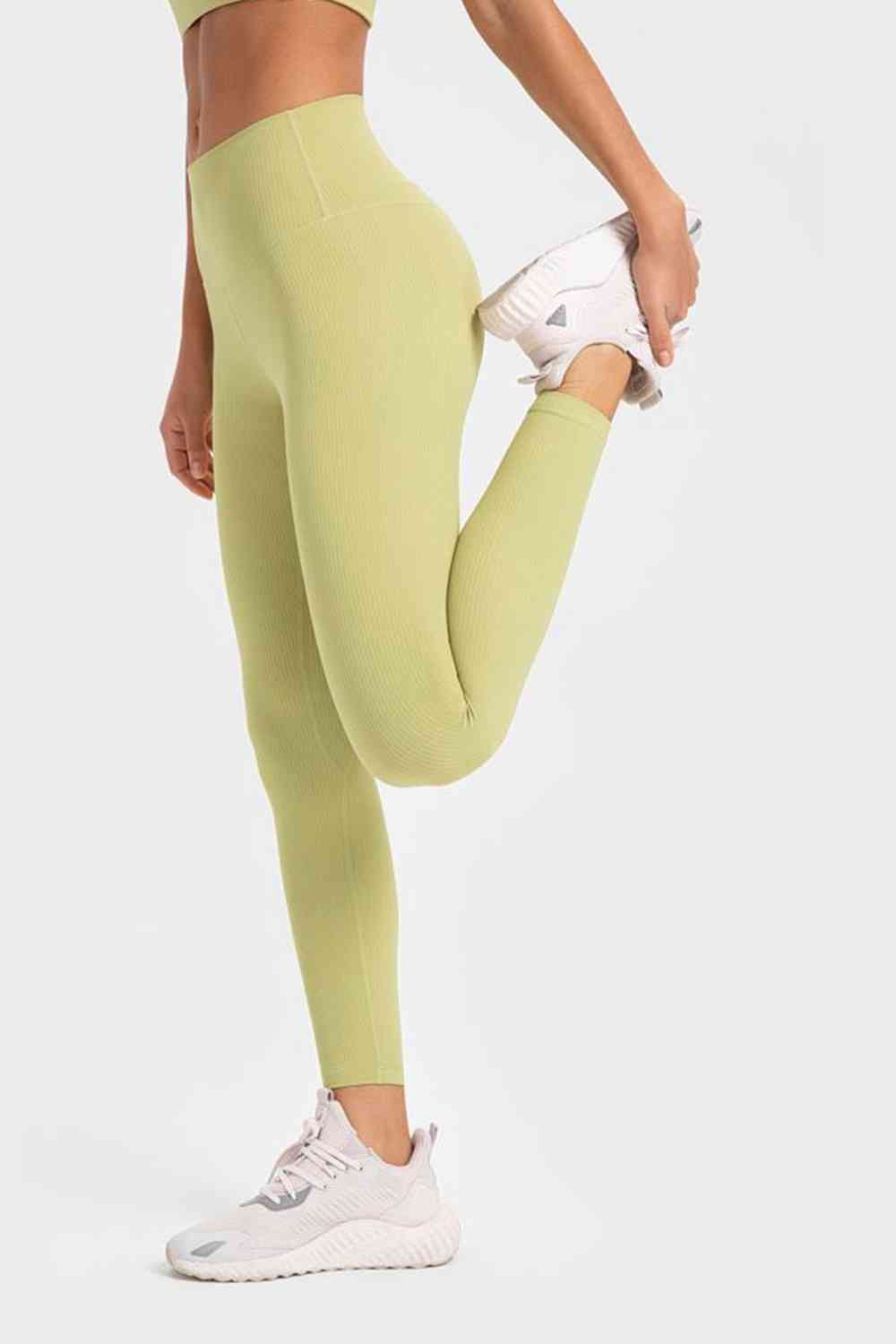 Millennia Highly Stretchy Wide Waistband Yoga Leggings - FitFemme.Shop
