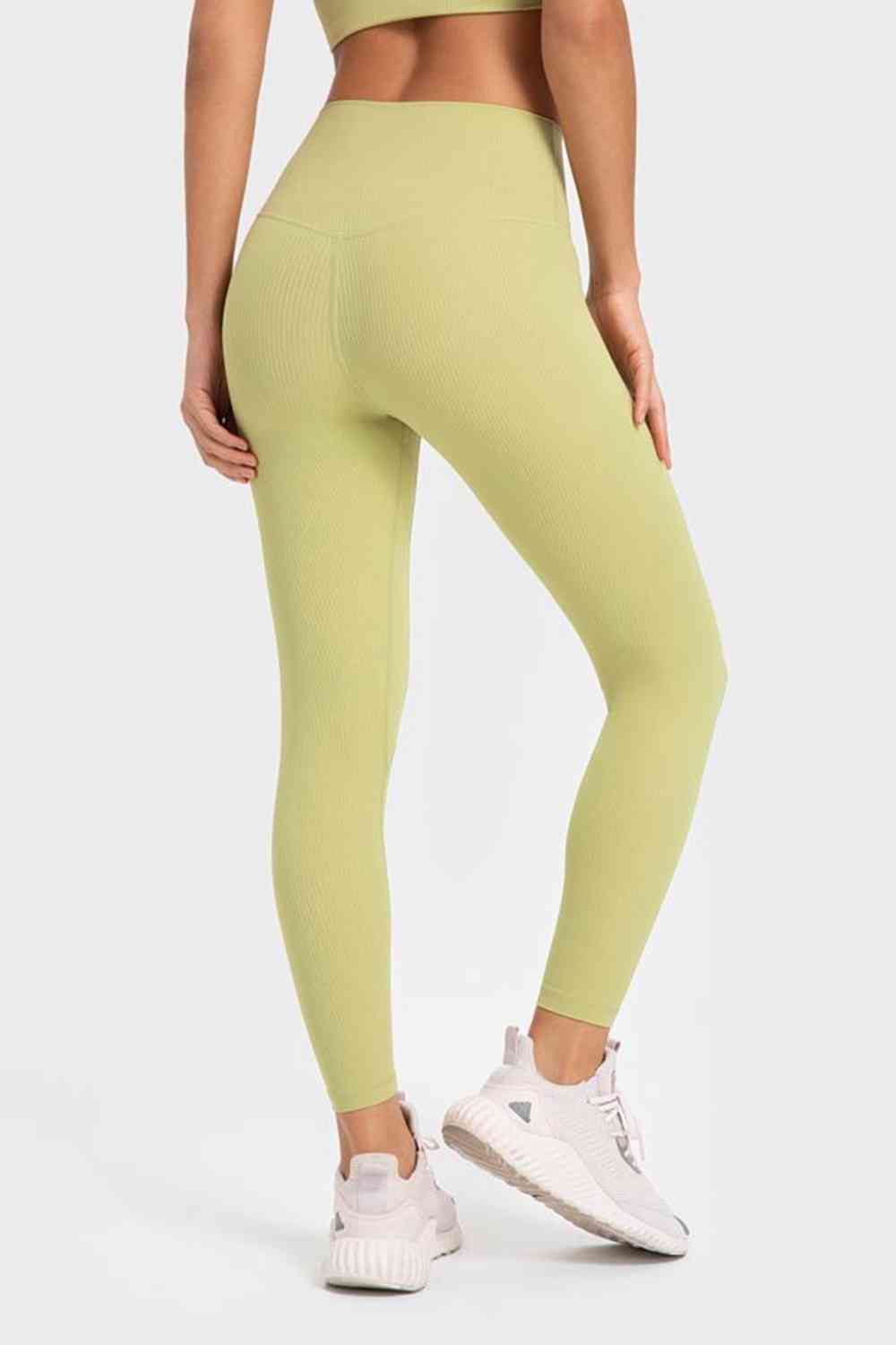 Millennia Highly Stretchy Wide Waistband Yoga Leggings - FitFemme.Shop