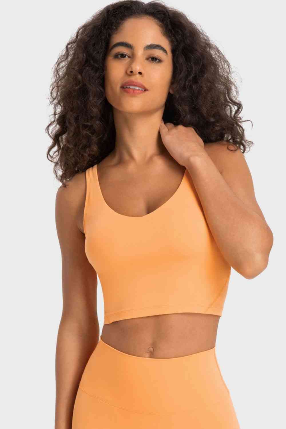 Millennia Deep V-Neck Crop Sports Bra - FitFemme.Shop