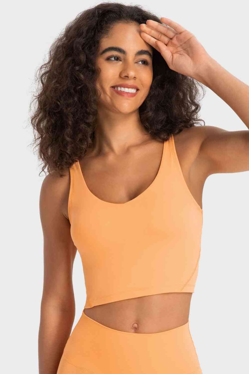 Millennia Deep V-Neck Crop Sports Bra - FitFemme.Shop