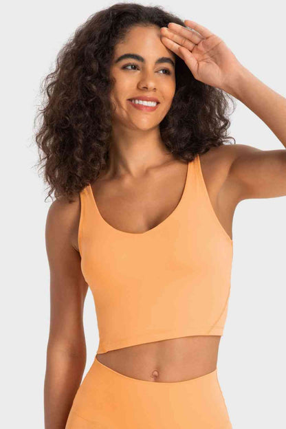 Millennia Deep V-Neck Crop Sports Bra - FitFemme.Shop