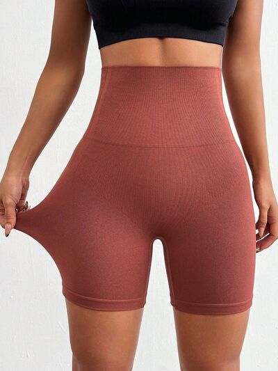 Seamless High Waist Active Shorts - FitFemme.Shop